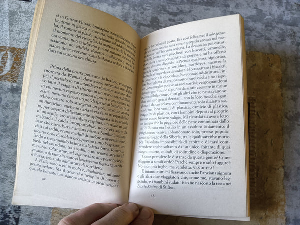 Romanzo di un bambino | Barbara Honigmann - Einaudi