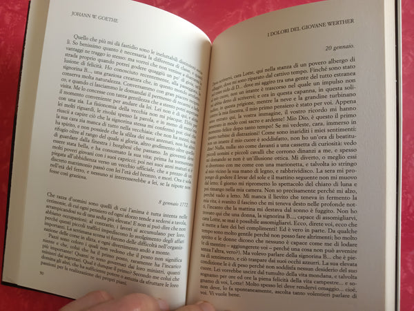 I dolori del giovane werther | Goethe