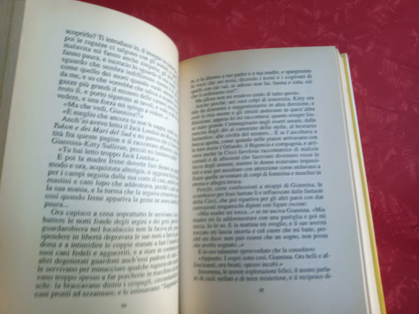 Anima amante | Albero Bevilacqua - Mondadori