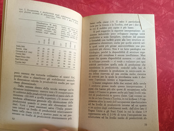 Occupazione e capacità produttive: la realtà italiana | Fuà Giorgio - Il Mulino