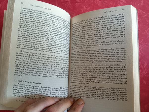 Lavoro e capitale nella teoria di marx | Guido Carandini - Mondadori