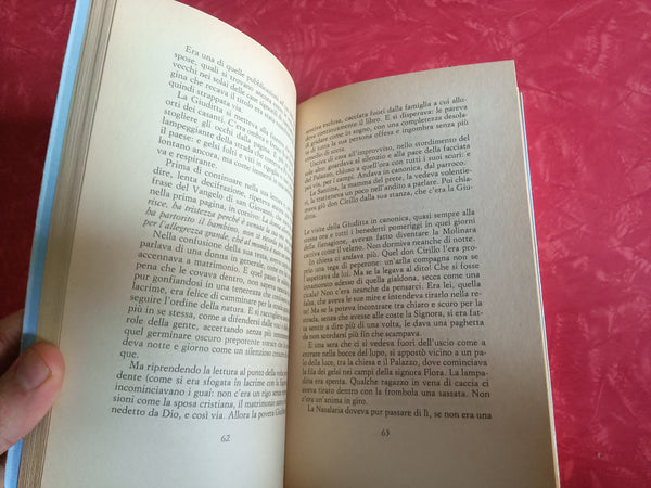 L’Ultimo paese | Giuseppe Tonna - Guanda