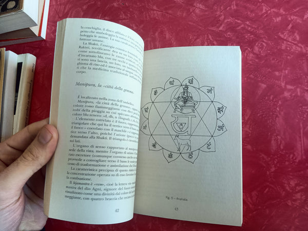 Chakra. L’universo in noi | M. Albanese; G. Cella; F. Zanchi