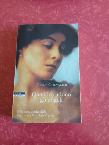 Quando cadono gli angeli | Tracy Chevalier - Neri Pozza