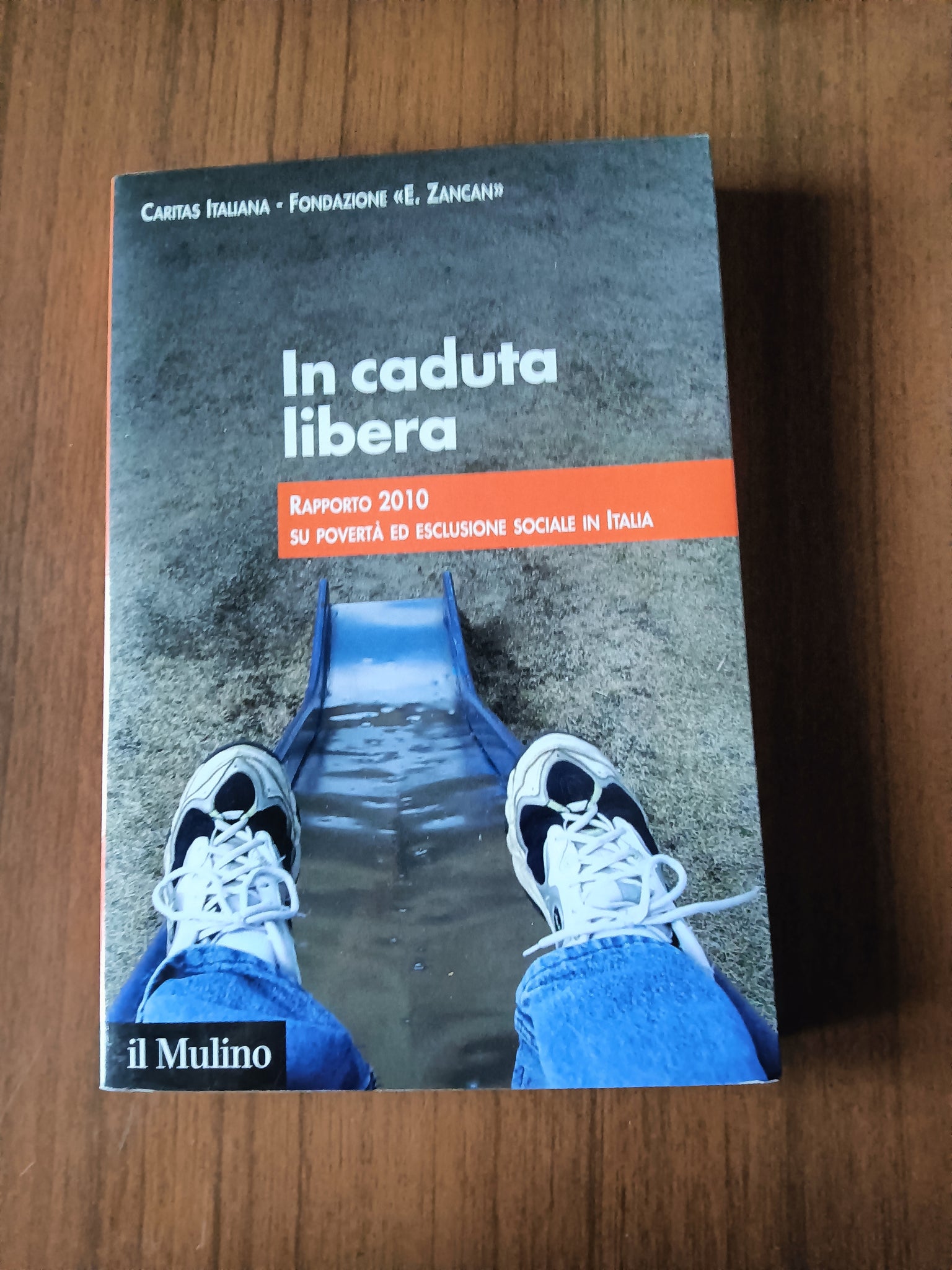 In caduta libera. Rapporto 2010 su povertà ed esclusione sociale in Italia | Aa.Vv - Mulino