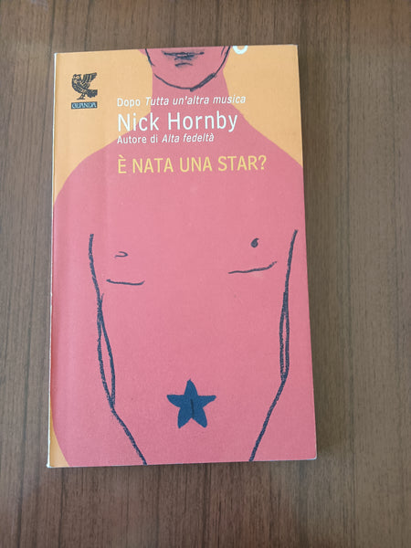 È nata una star? | Nick Hornby - Guanda