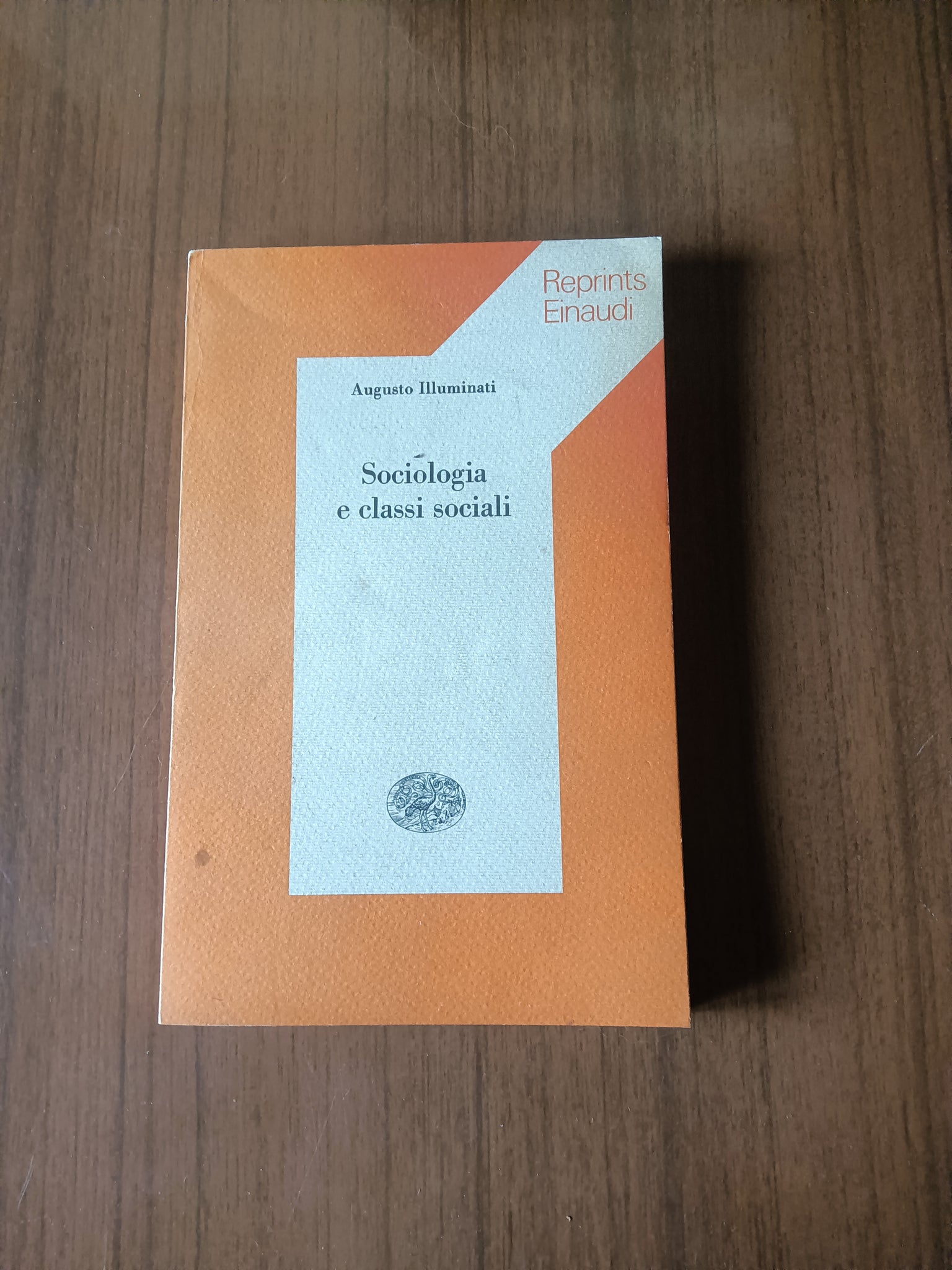 Sociologia e classi sociali | Augusto Illuminati - Einaudi