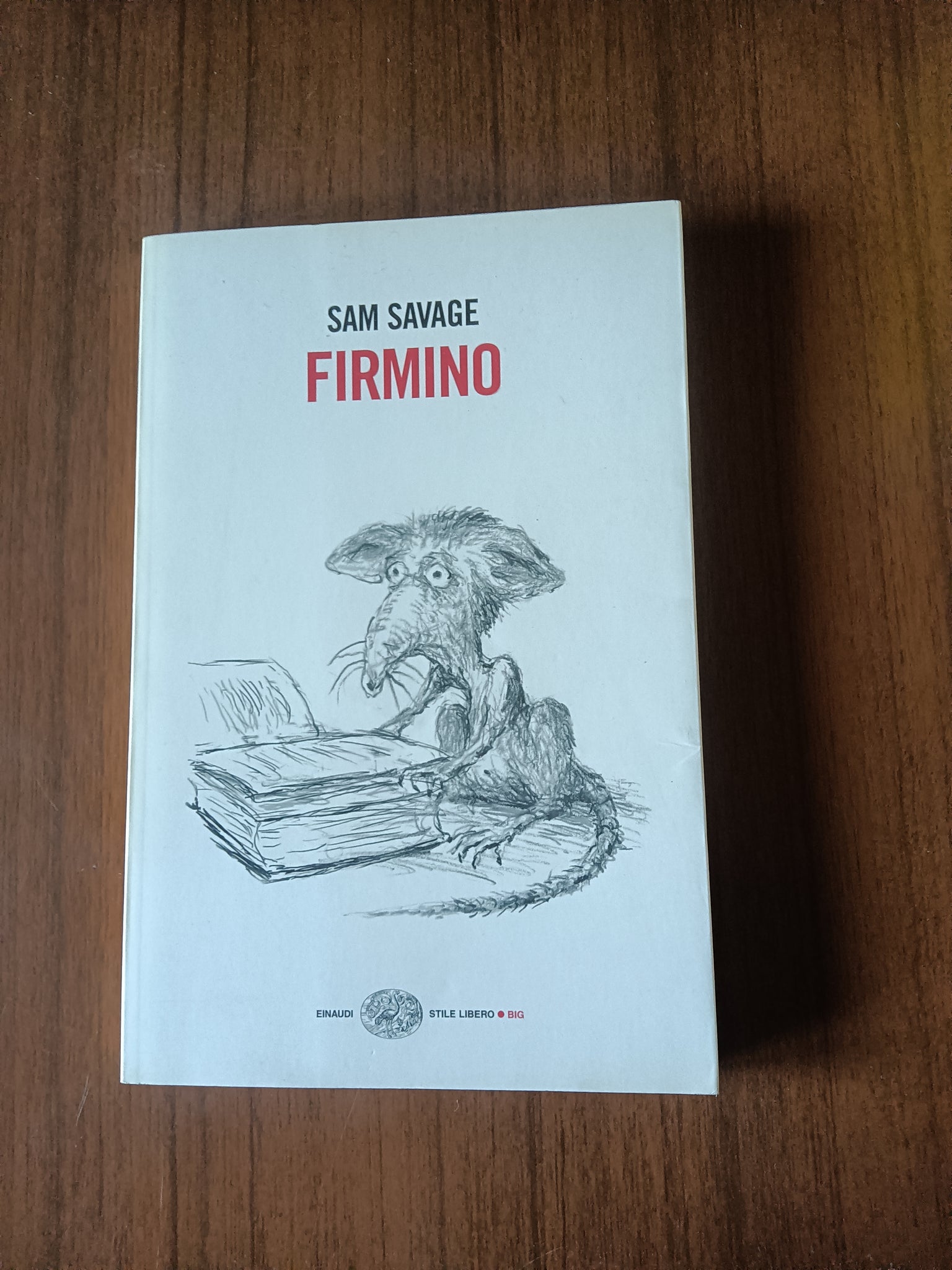 Firmino | Sam Savage - Einaudi