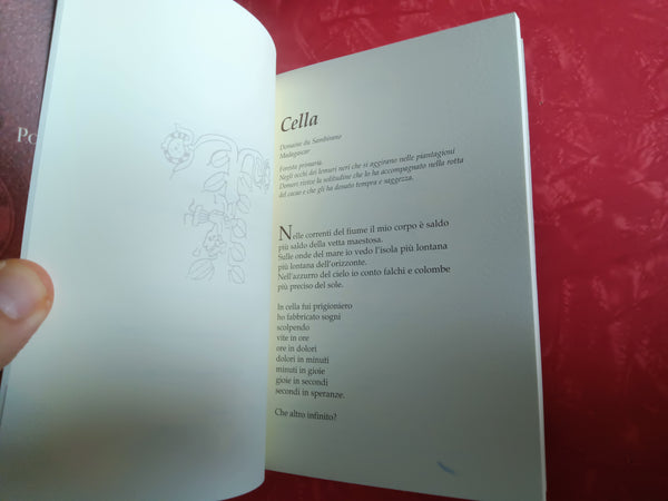 Viaggio per mare alla ricerca del cacao | Mack Domori