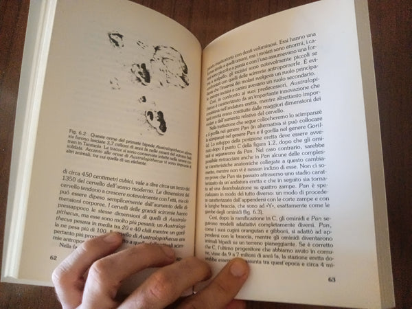 Il primo uomo. Alla scoperta delle nostre origini | Bjorn Kurten - Laterza