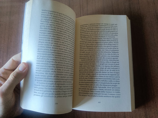 Il confine d’ambra romanzo | Paola Zannoner