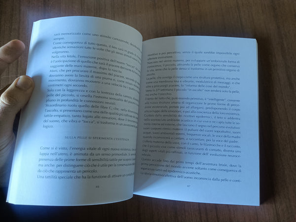 Il libro dell’amore e della musica | Filippo Massara