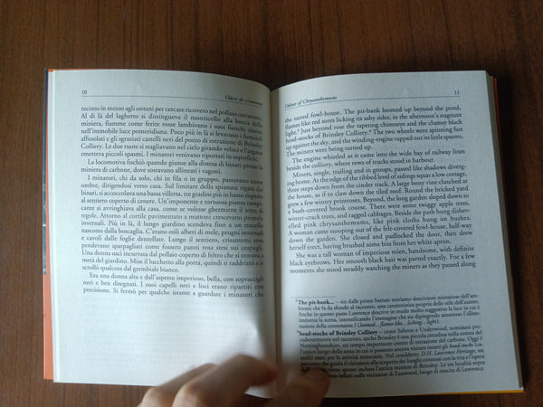 Odore di crisantemi | David Herbert Lawrence