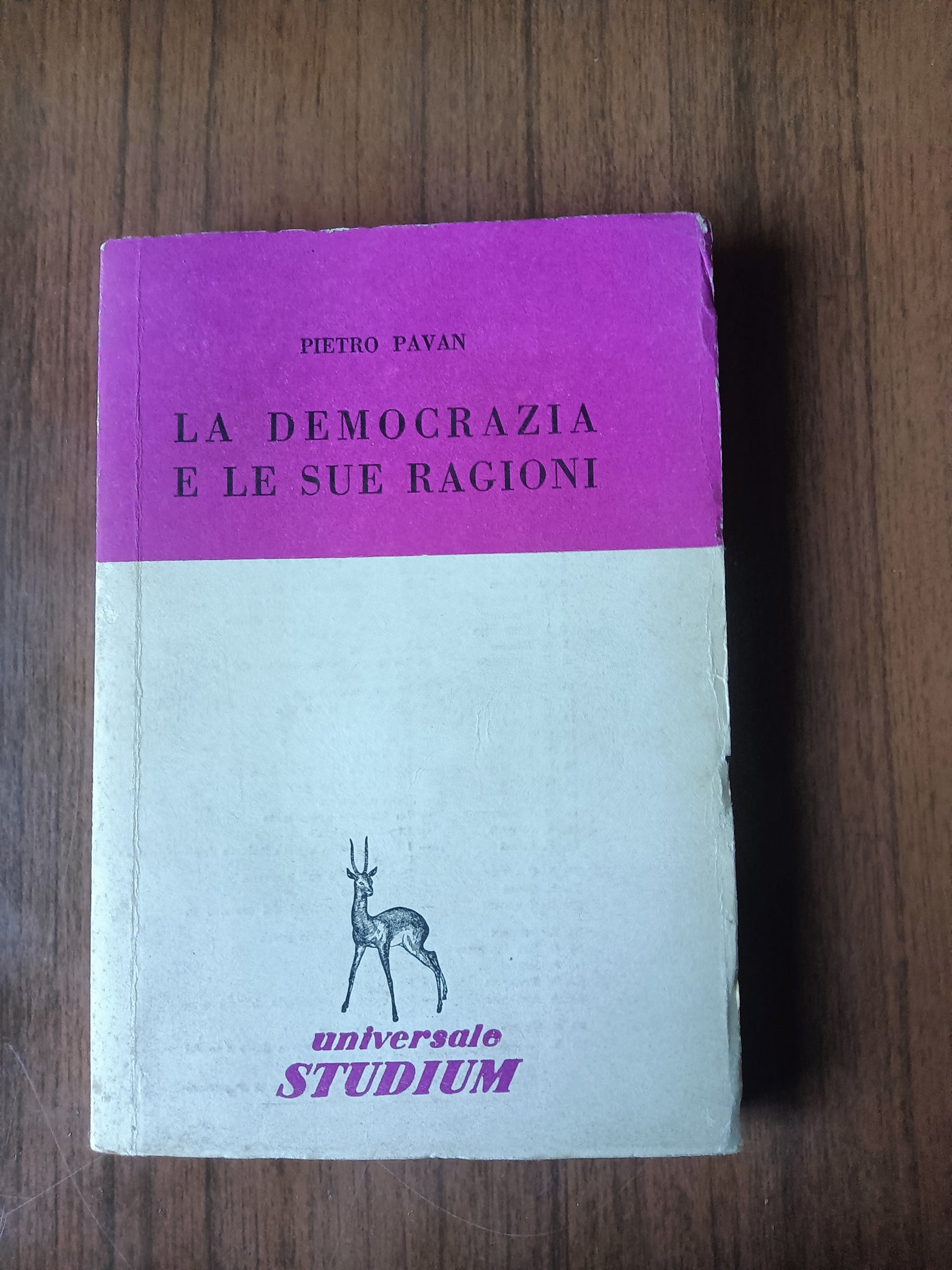 La democrazia e le sue ragioni | Pietro Pavan
