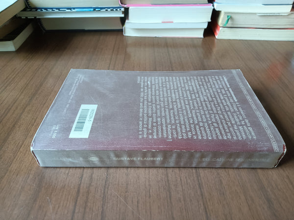 L’educazione sentimentale | Gustave Flaubert - Mondadori
