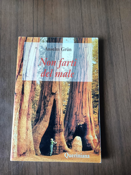 Non farti del male | Anselm Grün