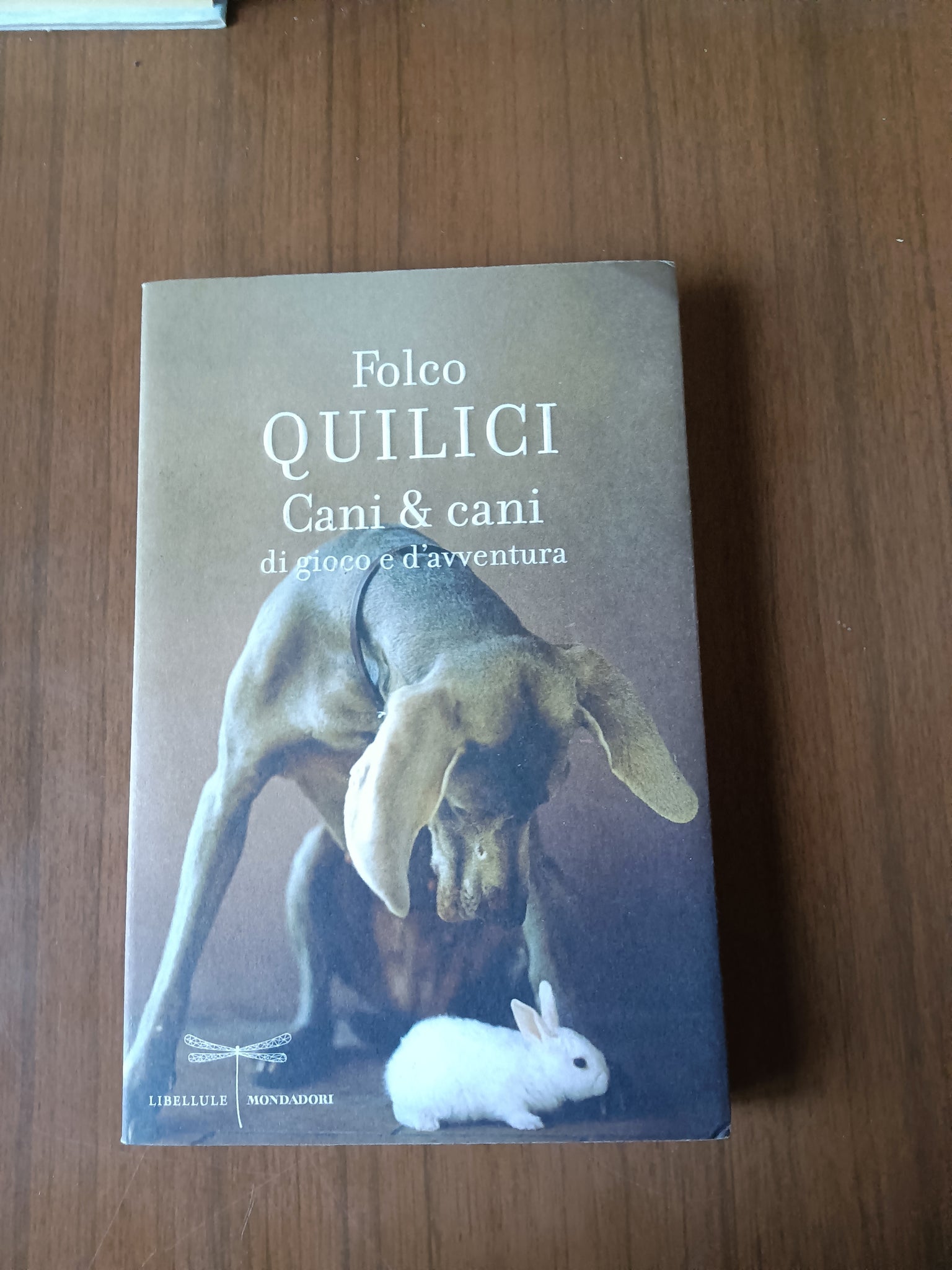 Cani & cani di gioco e d’avventura | Folco Quilici - Mondadori