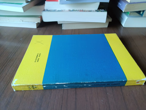 La formazione dei concetti | Aa.Vv