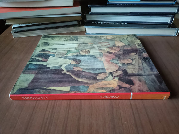 Mantova e i suoi tesori d’arte | Rosella Vantaggi