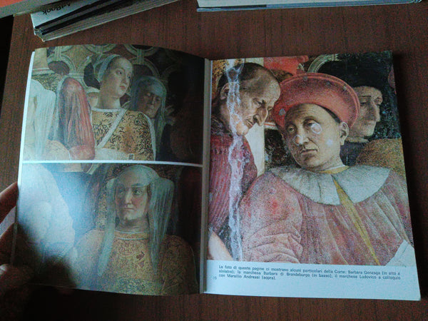 Mantova e i suoi tesori d’arte | Rosella Vantaggi