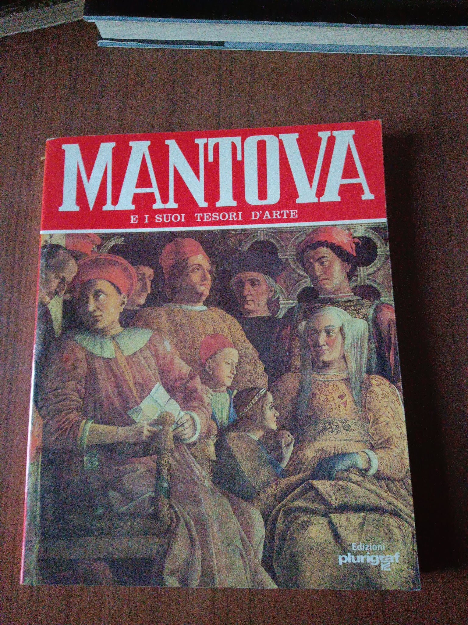 Mantova e i suoi tesori d’arte | Rosella Vantaggi