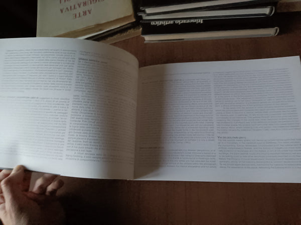 Nancy Goldring. Punti di fuga, altri paesaggi | Aa.Vv