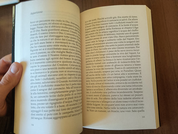 Nel legno e nella pietra | Mauro Corona - Mondadori