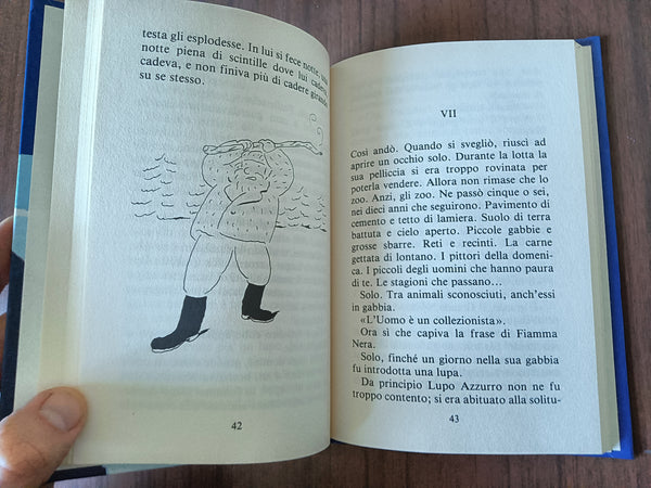 L’occhio del lupo | Daniel Pennac - Salani