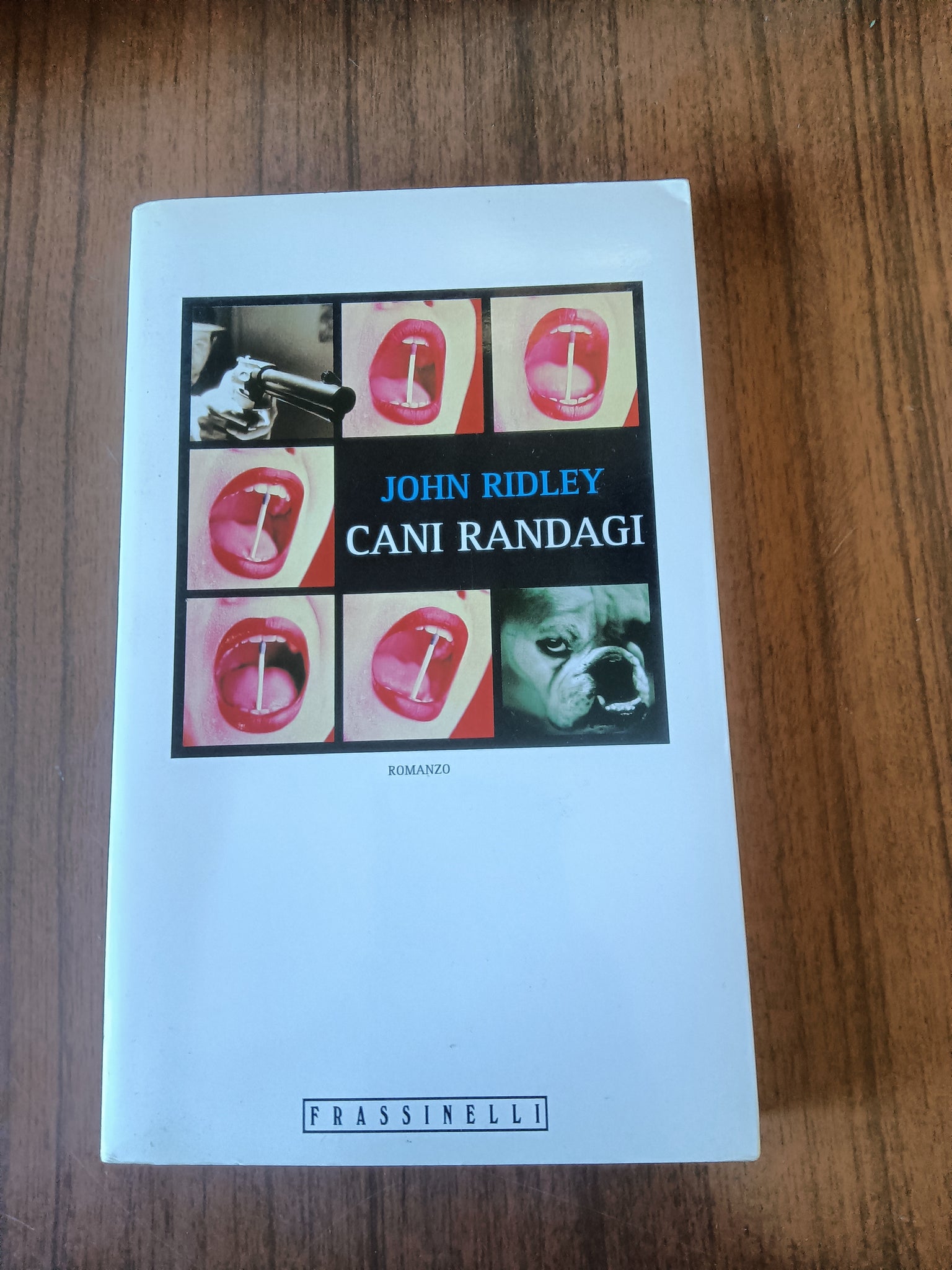 Cani randagi | John Ridley