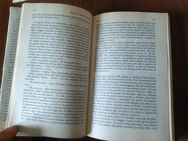 Quello che ho amato | Siri Hustvedt - Einaudi