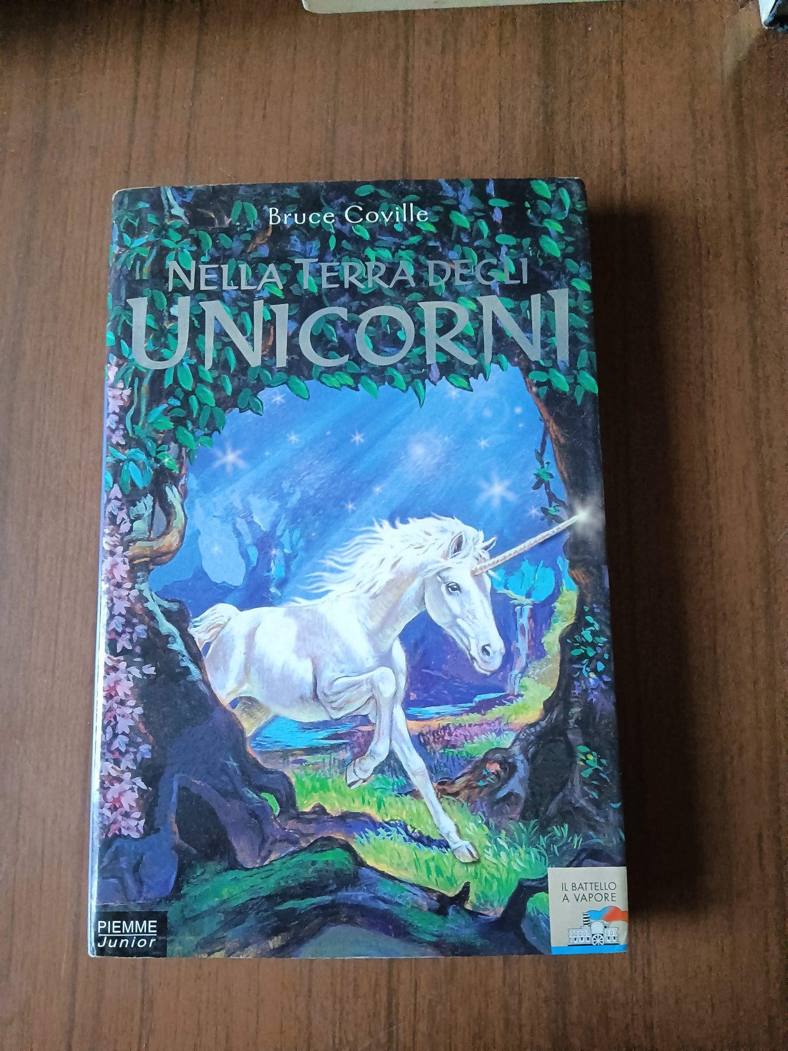 Nella terra degli unicorni | Bruce Coville