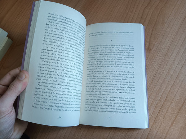 Qualcosa nella nebbia | Roberto Camurri