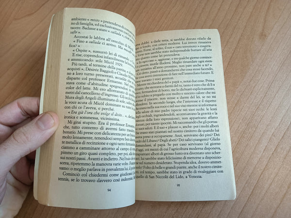 Il giardino dei Finzi Contini | Giorgio Bassani - Mondadori