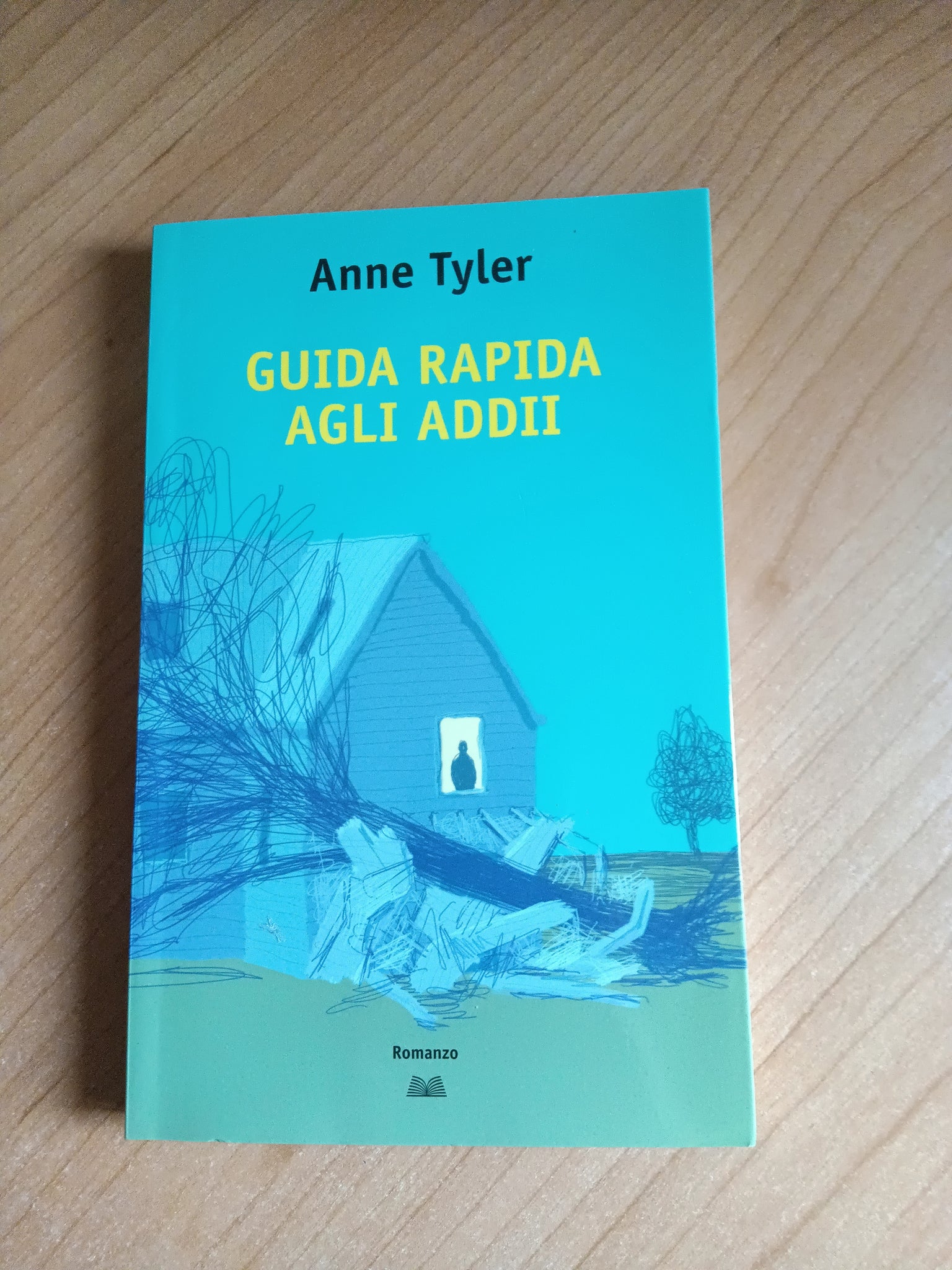 Guida rapida agli addii | Anne Tyler