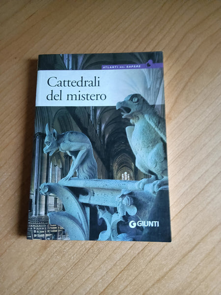 Cattedrali del mistero | Angela Cerinotti