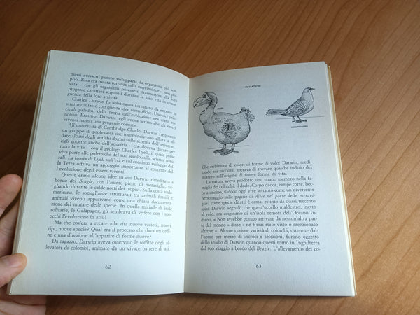 La comunità vivente. Introduzione all’ecologia | Carl Hirsch - Mondadori