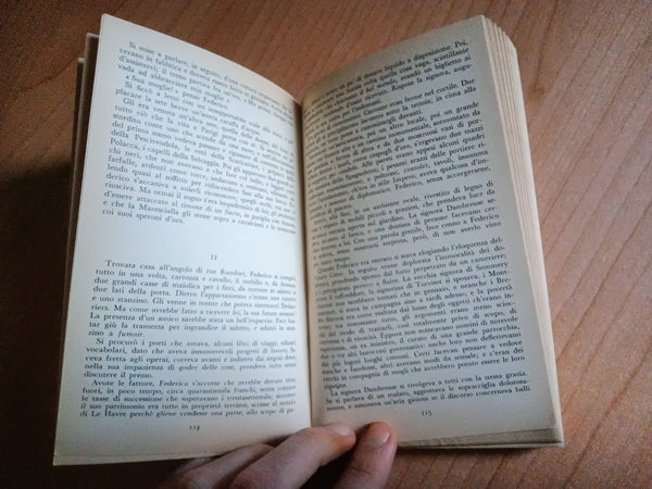 L’educazione sentimentale | Gustave Flaubert - Garzanti