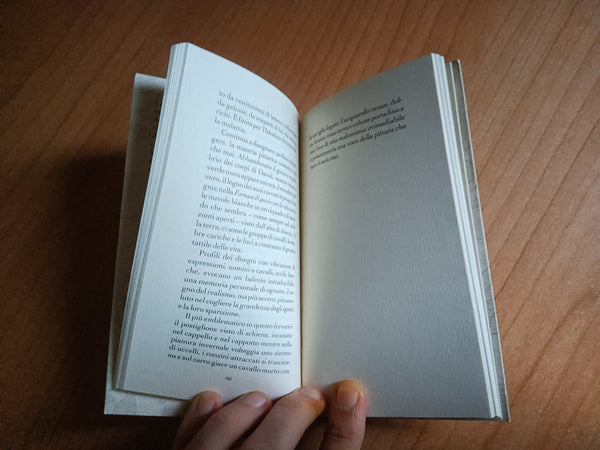 Cavaliere senza destino | Marisa Volpi