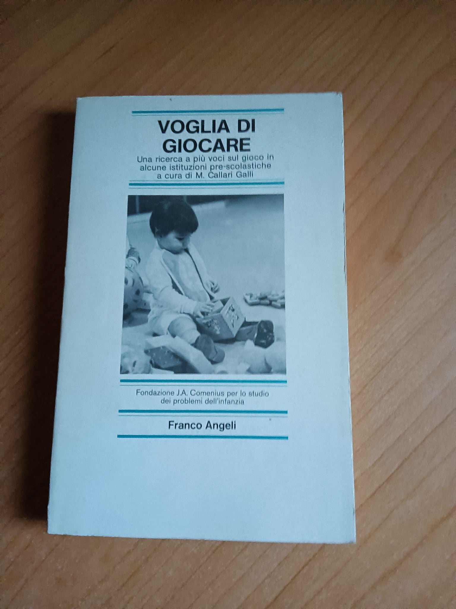 Voglia di giocare | Matilde Callari Galli, a cura di