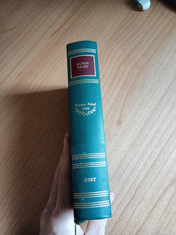 Un cane randagio. Una pagnotta intera. Da nemico amico. Tehillà. Per sempre. Giuramento di fedeltà. Una buccia d’arancia. In cerca | Agnon Samuel Josef; Sachs Nelly