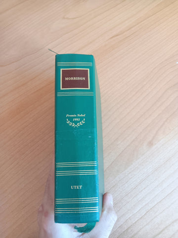 Canto di salomone. Amatissima | Toni Morrison