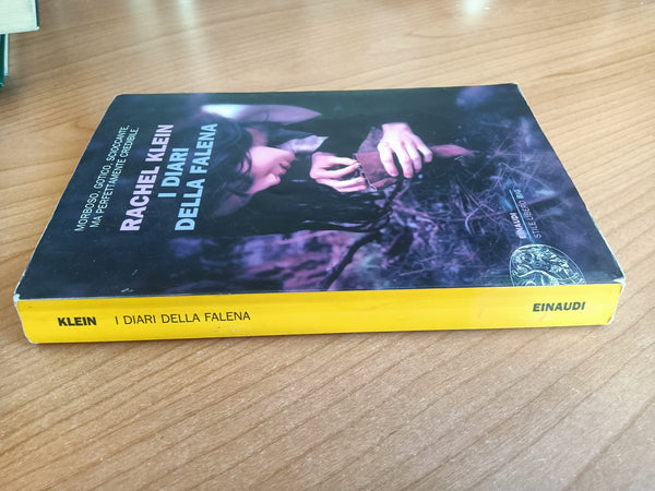 I diari della falena | Rachel Klein - Einaudi