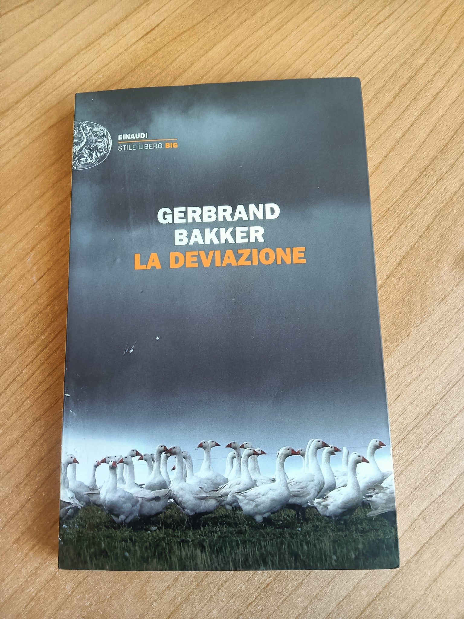 La deviazione | Gerbrand Bakker - Einaudi