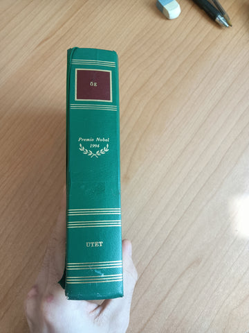 Le opere | Oe Kenzaburo