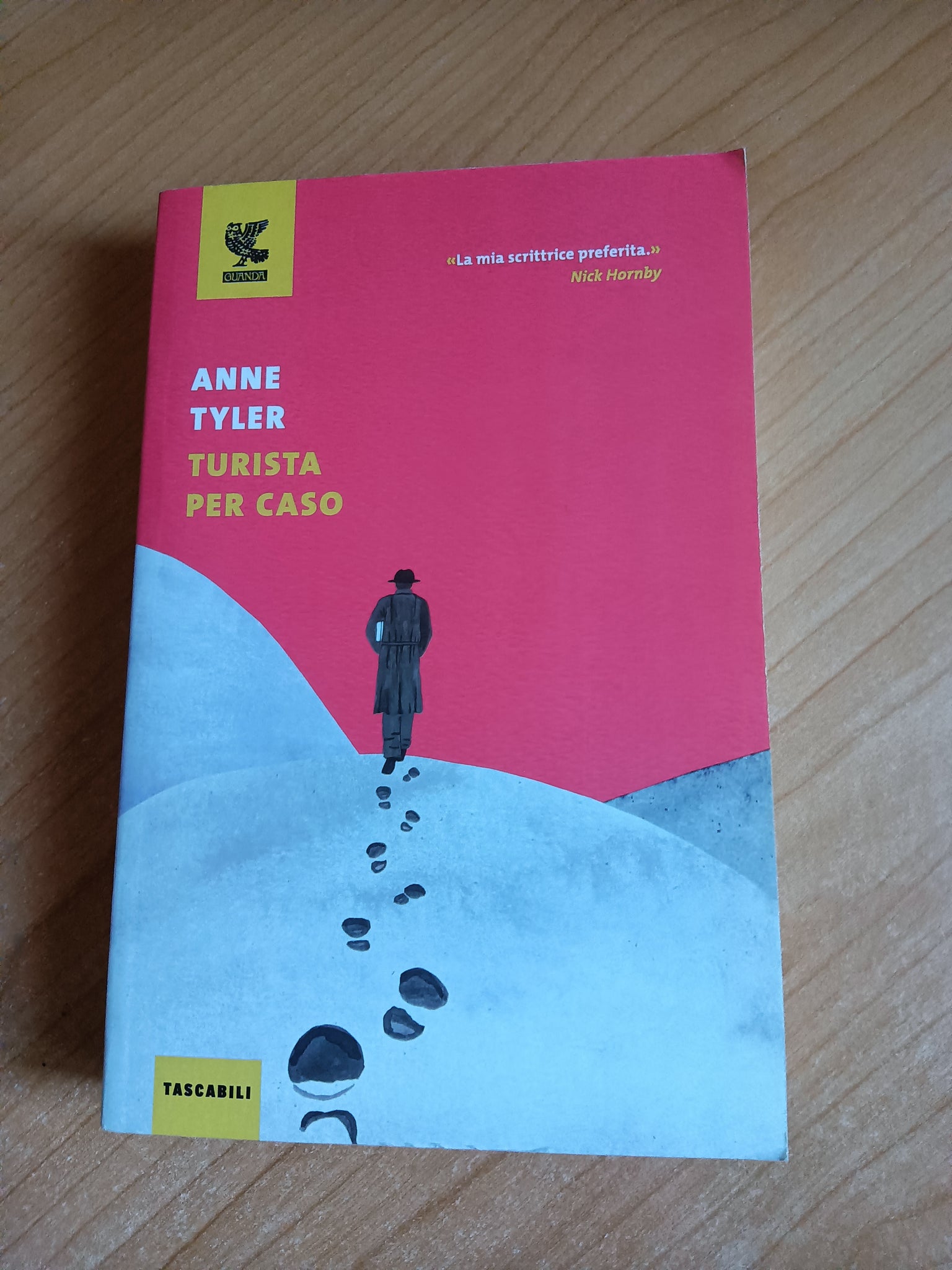 Turista per caso | Anne Tyler - Guanda