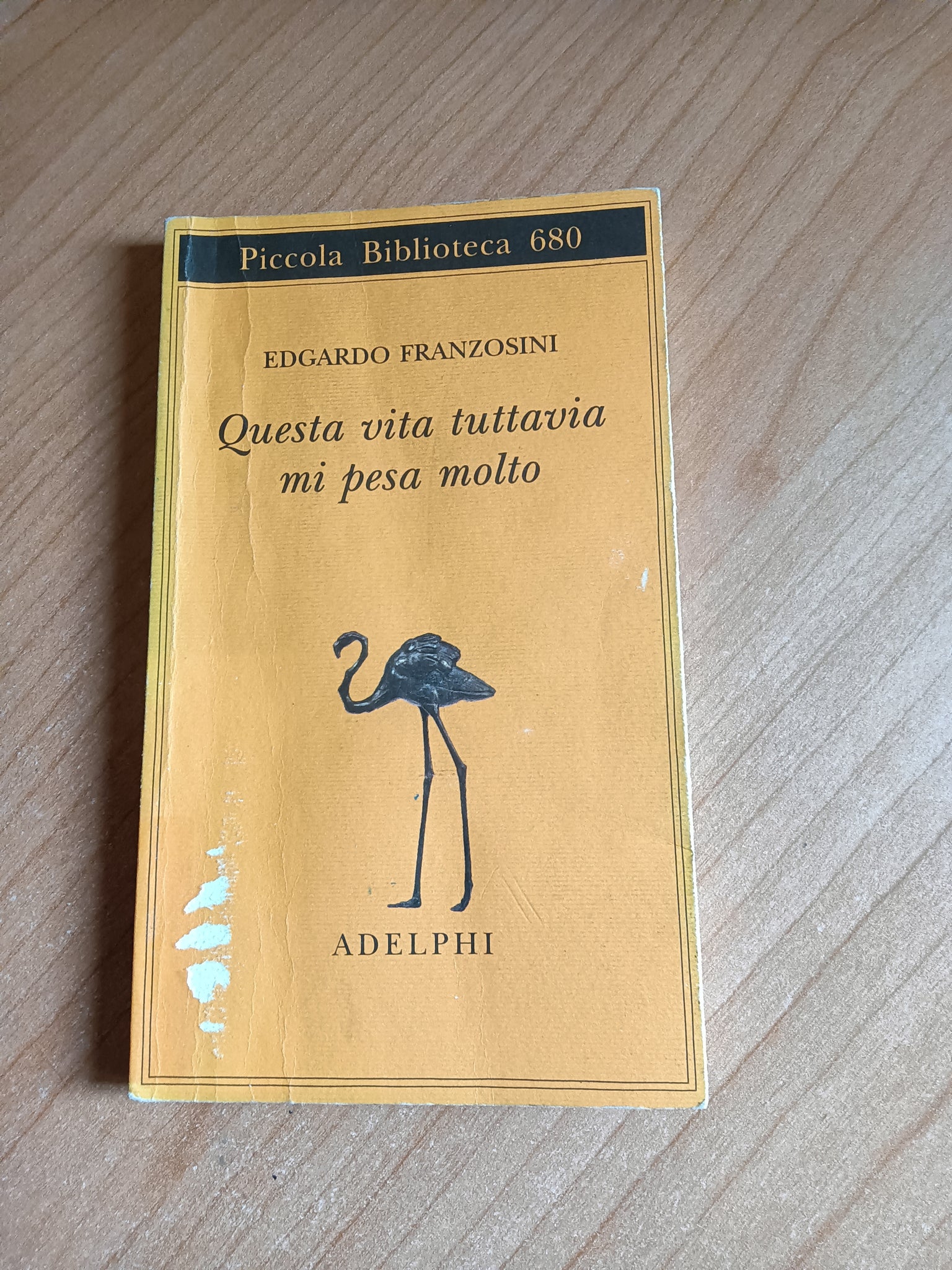 Questa vita tuttavia mi pesa molto | Edgardo Franzosini - Adelphi