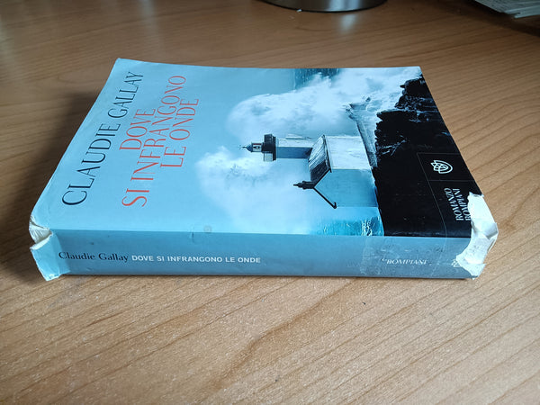 Dove si infrangono le onde | Claudie Gallay - Bompiani