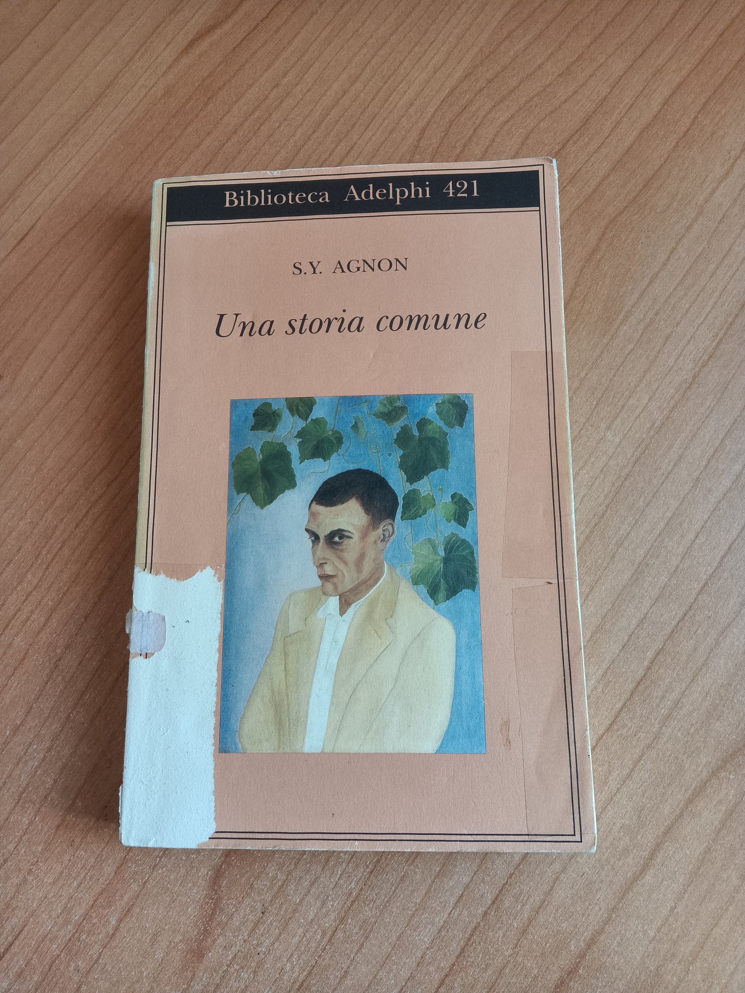Una storia comune | Shmuel Yosef Agnon - Adelphi