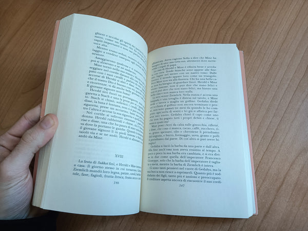 Una storia comune | Shmuel Yosef Agnon - Adelphi
