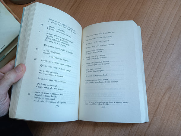 Il Libro del profeta Isaia | Guido Ceronetti, a cura di - Adelphi